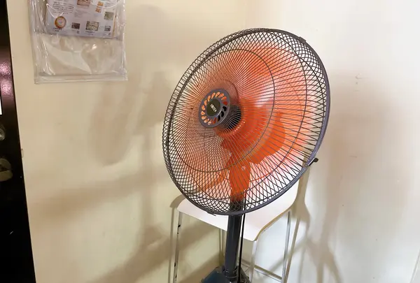 Parlor Vinefru 銀座（パーラービネフル）の写真・動画_image_1404539