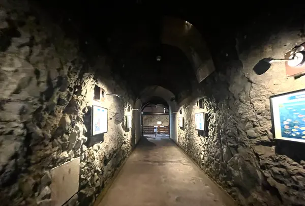 江の島岩屋の写真・動画_image_1411046