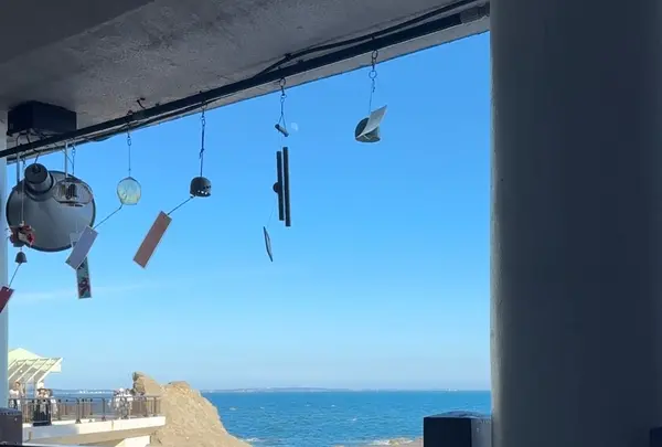 江の島岩屋の写真・動画_image_1411057