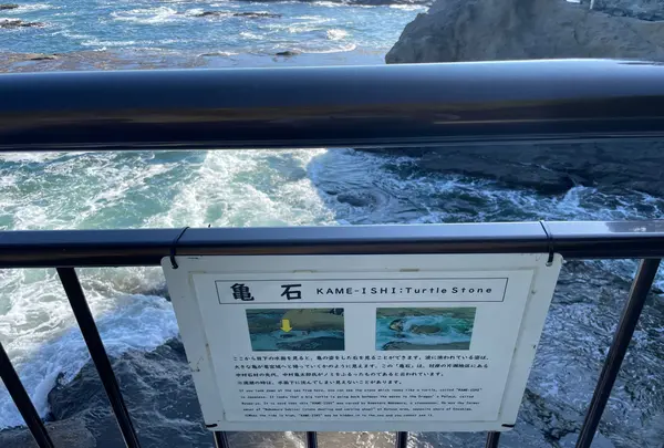江の島岩屋の写真・動画_image_1411059