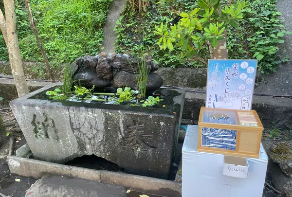 江島神社 辺津宮の写真・動画_image_1411212