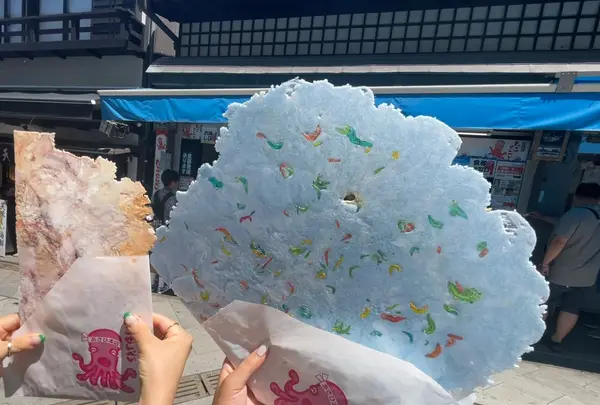 あさひ本店の写真・動画_image_1411291