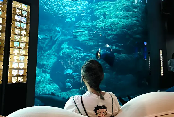 新江ノ島水族館の写真・動画_image_1411311