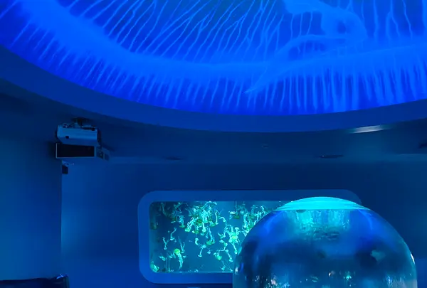 新江ノ島水族館の写真・動画_image_1411312