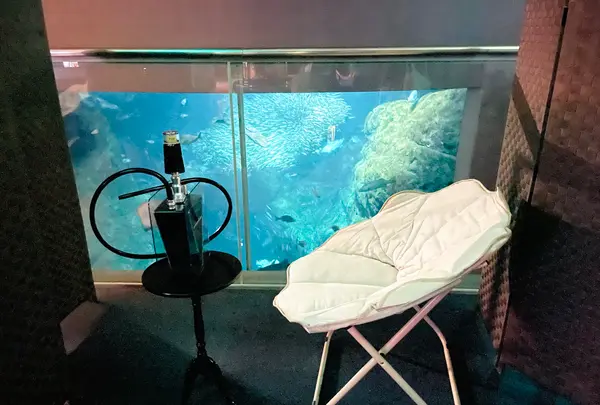新江ノ島水族館の写真・動画_image_1411317