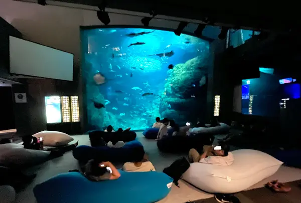 新江ノ島水族館の写真・動画_image_1411318
