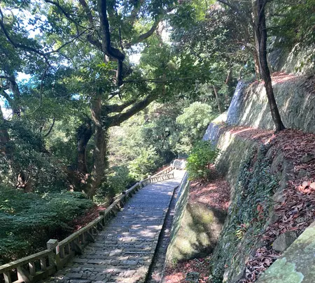 久能山東照宮の写真・動画_image_1415643