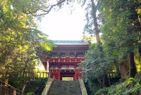 久能山東照宮の写真・動画_image_1415646