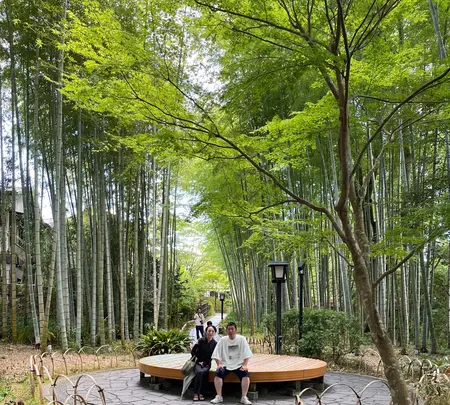 竹林の小径の写真・動画_image_1415650