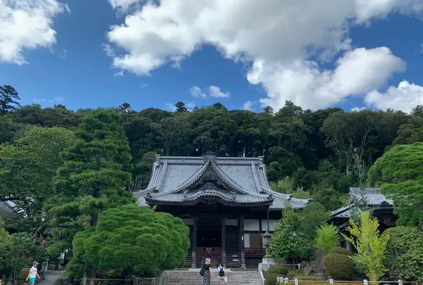 修禅寺の写真・動画_image_1415654