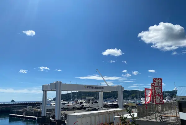 道の駅 伊東マリンタウンの写真・動画_image_1415671