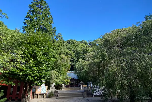 伊豆山神社の写真・動画_image_1415672