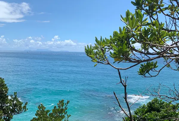 龍宮窟の写真・動画_image_1415680