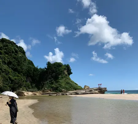 白浜神社の写真・動画_image_1415693