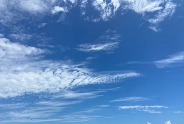びわ湖のみえる丘の写真・動画_image_1426369