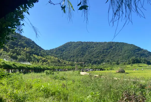 ラコリーナ近江八幡の写真・動画_image_1426394