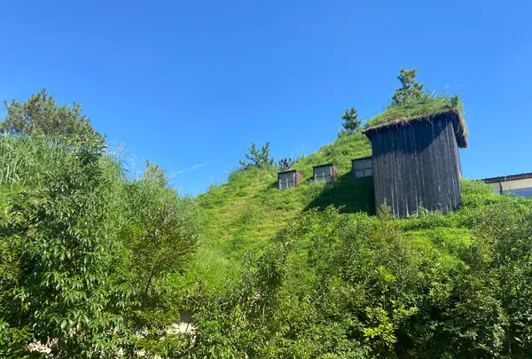 ラコリーナ近江八幡の写真・動画_image_1426395