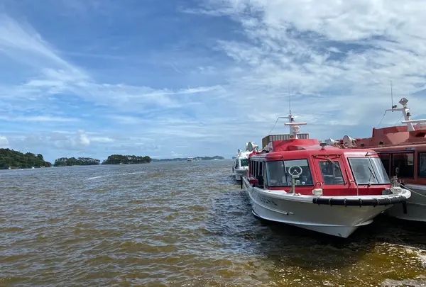 松島の写真・動画_image_1431243