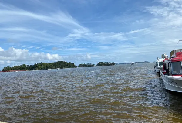 松島の写真・動画_image_1431244