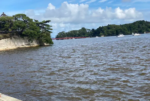 松島の写真・動画_image_1431245