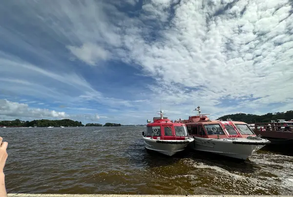 松島の写真・動画_image_1431246