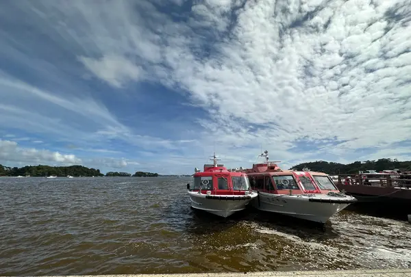 松島の写真・動画_image_1431247