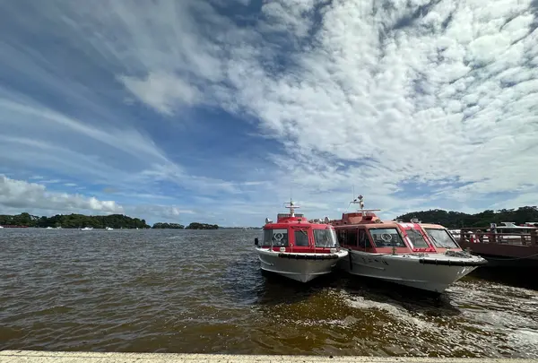 松島の写真・動画_image_1431248