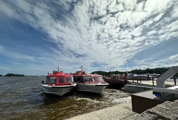 松島の写真・動画_image_1431249