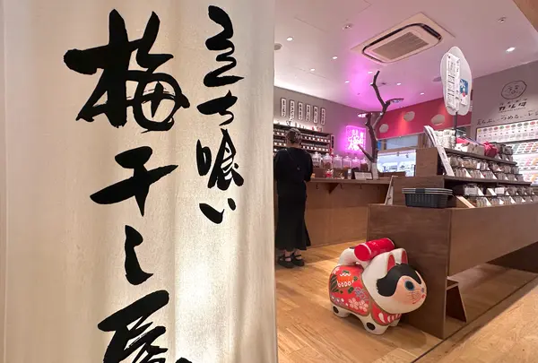 立ち喰い梅干し屋の写真・動画_image_1432206