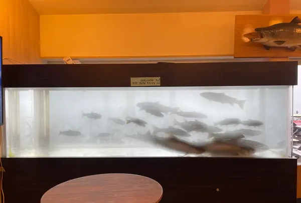 ポロピナイ食堂の写真・動画_image_1438521