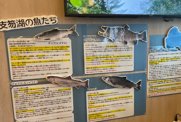 ポロピナイ食堂の写真・動画_image_1438522