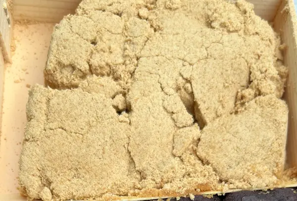 石部屋の写真・動画_image_1442524