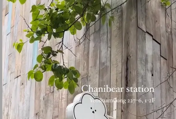 Chanibear STATION（クマのカフェ＆雑貨）の写真・動画_image_1448827