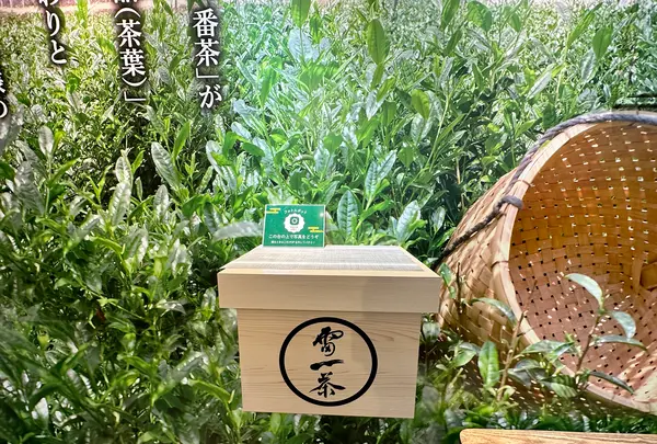 雷一茶 伝法院通り店の写真・動画_image_1450608