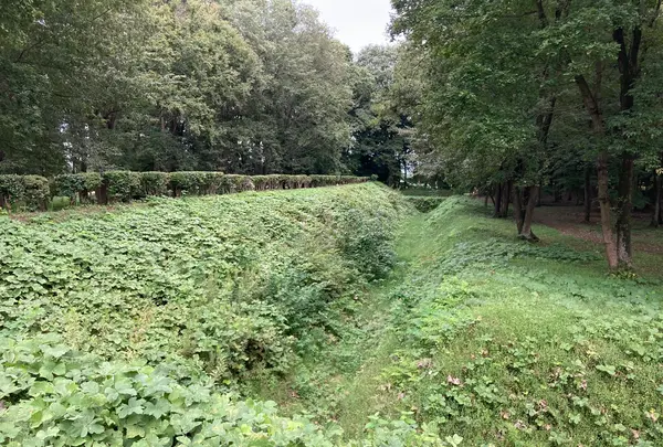 飛山城史跡公園の写真・動画_image_1454255