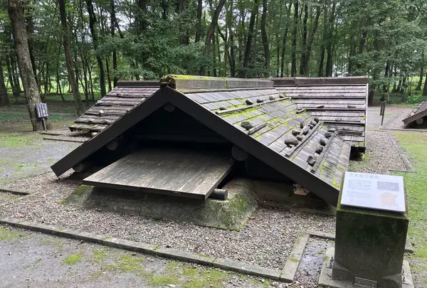 飛山城史跡公園の写真・動画_image_1454257