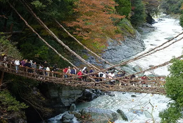 祖谷のかずら橋