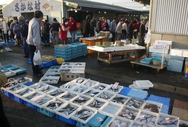 一色さかな広場
