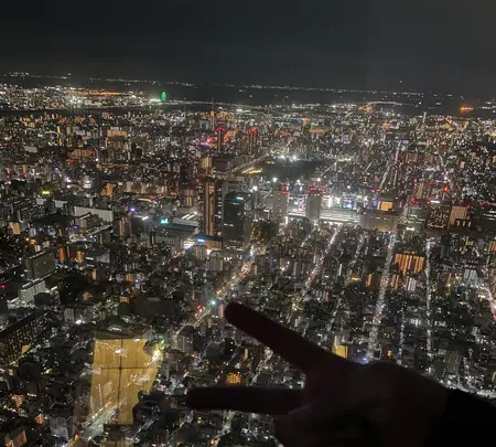 東京スカイツリーの写真・動画_image_1459529