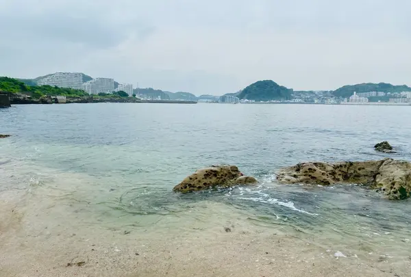 燈明堂海岸の写真・動画_image_1459537