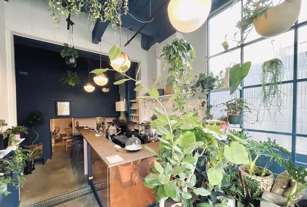 le bois（ル・ボア）清澄白河（旧：THE LITTLE THINGS）の写真・動画_image_1459888