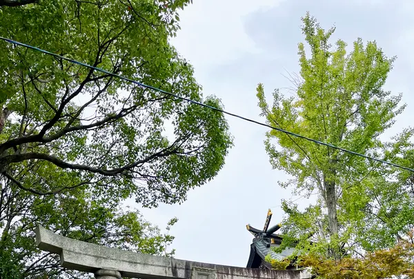 中津瀬神社の写真・動画_image_1463204