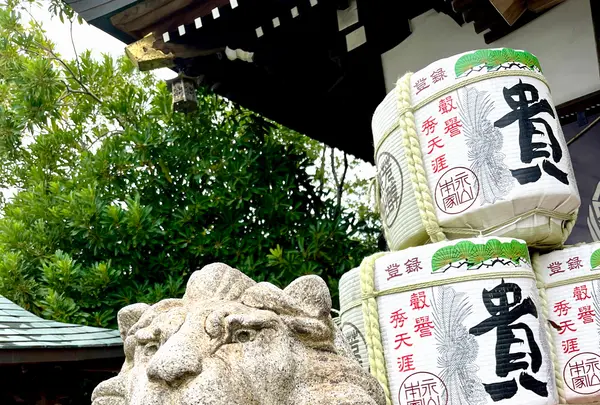 中津瀬神社の写真・動画_image_1463206