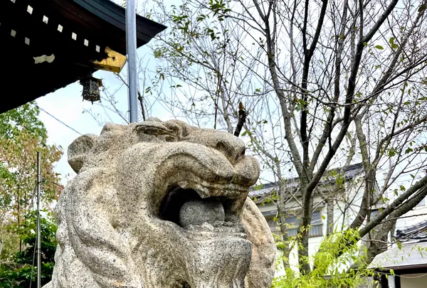 中津瀬神社の写真・動画_image_1463207
