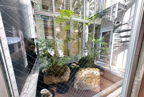ととけんの写真・動画_image_1470822