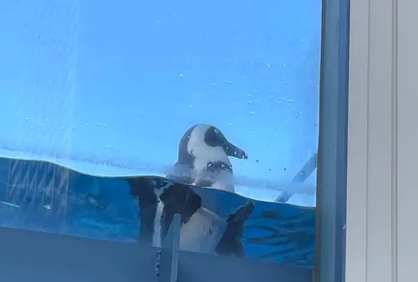 サンシャイン水族館の写真・動画_image_1472483