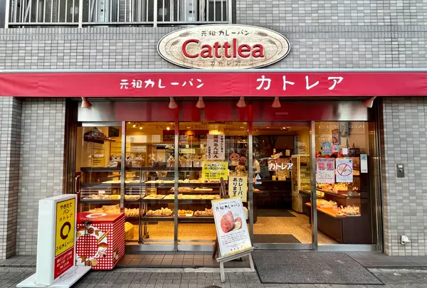 カトレアの写真・動画_image_1472969