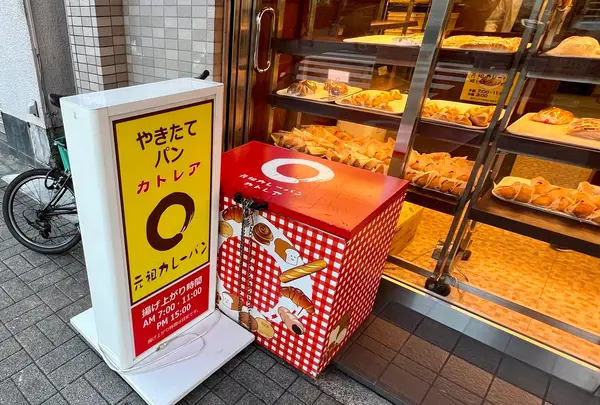 カトレアの写真・動画_image_1472970