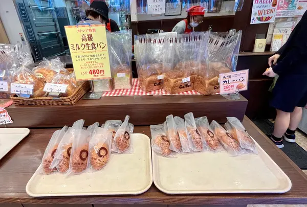 カトレアの写真・動画_image_1472973