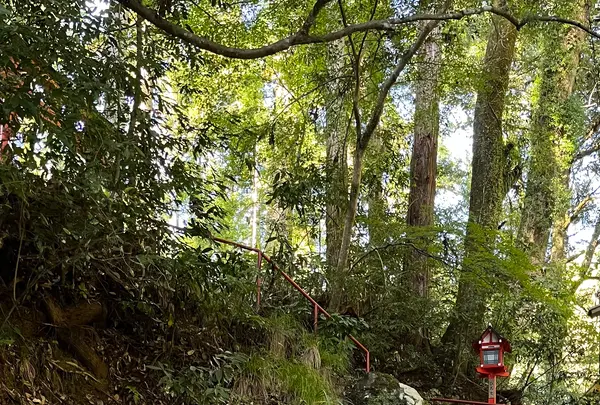 貴船神社の写真・動画_image_1473139